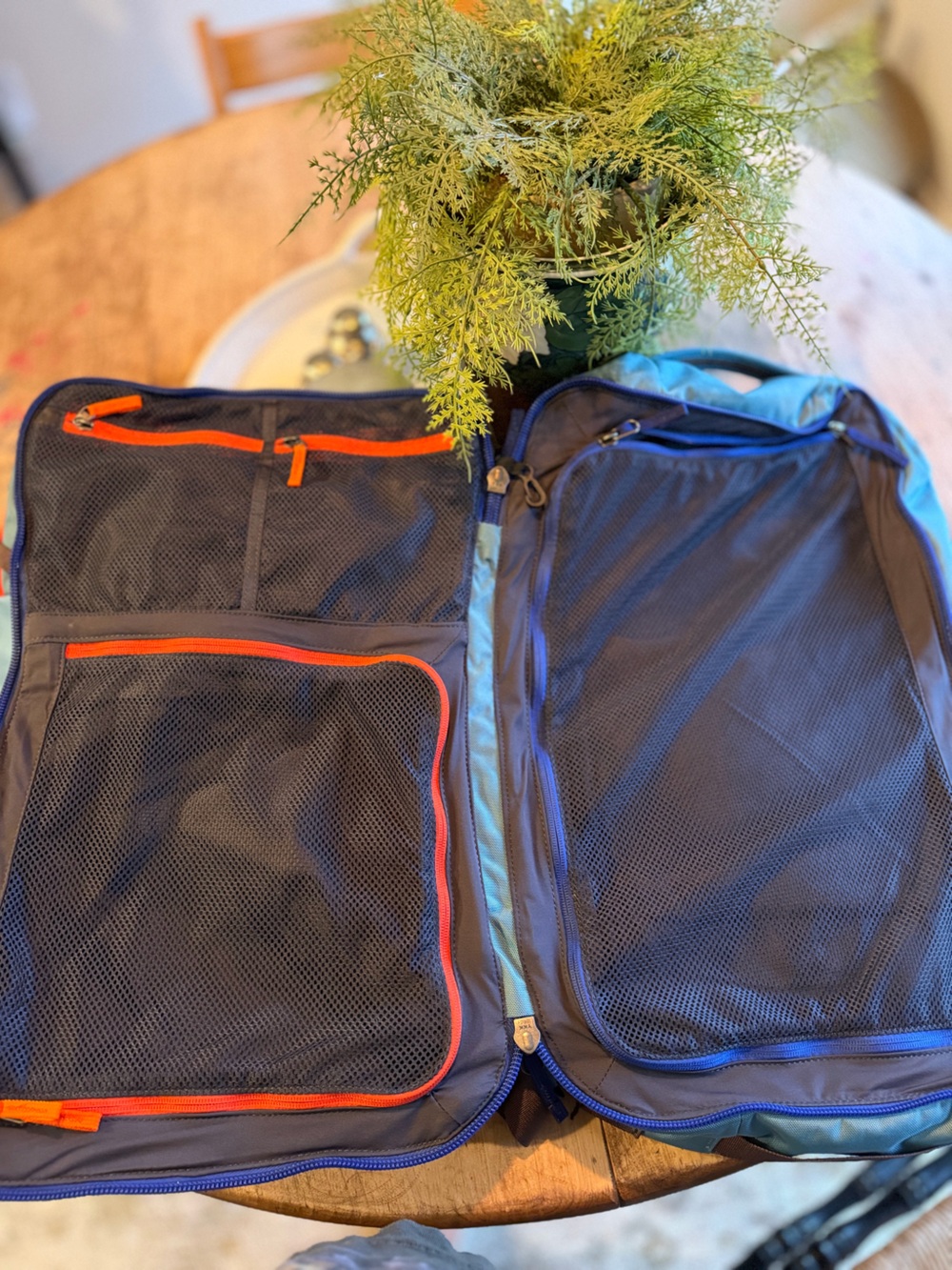 Cotopaxi Allpa 35 L Travel Pack - Picture 3 of 8